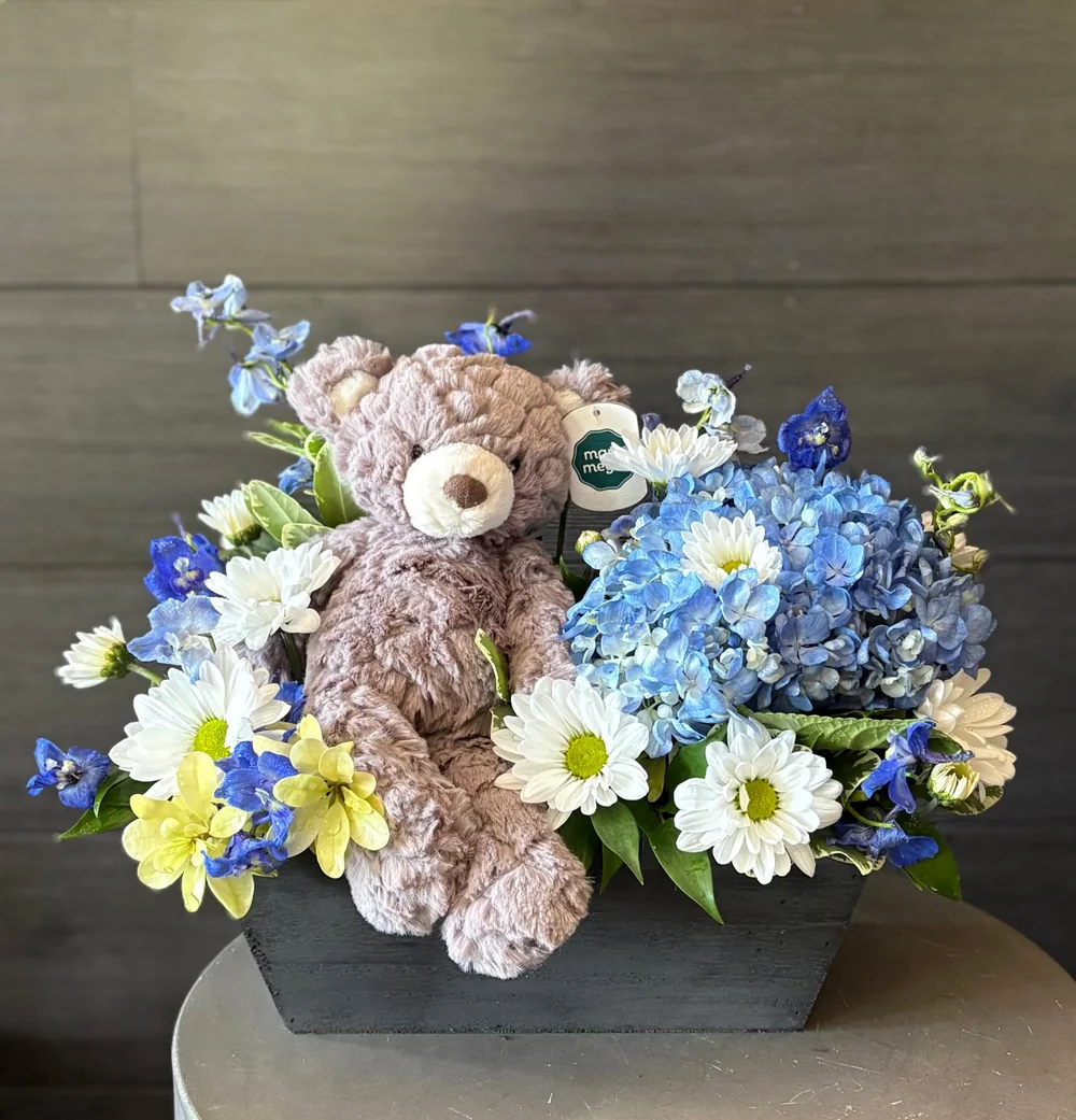 Bear's Baby Box by DeVine's Flowers & Botanicals