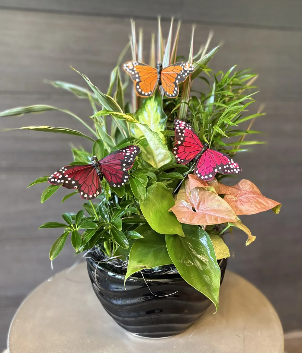 Beautiful Memory by DeVine's Flowers & Botanicals