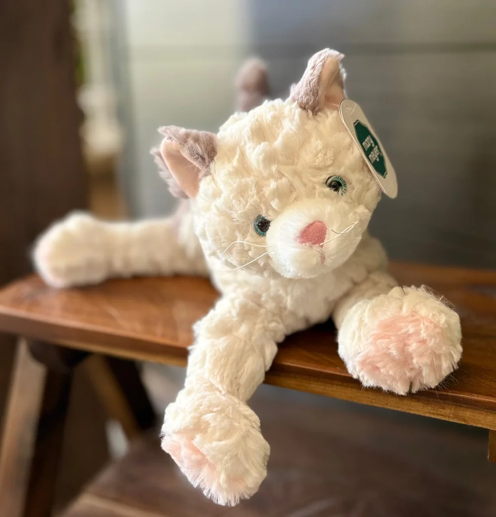 Claire the Cat by DeVine's Flowers & Botanicals