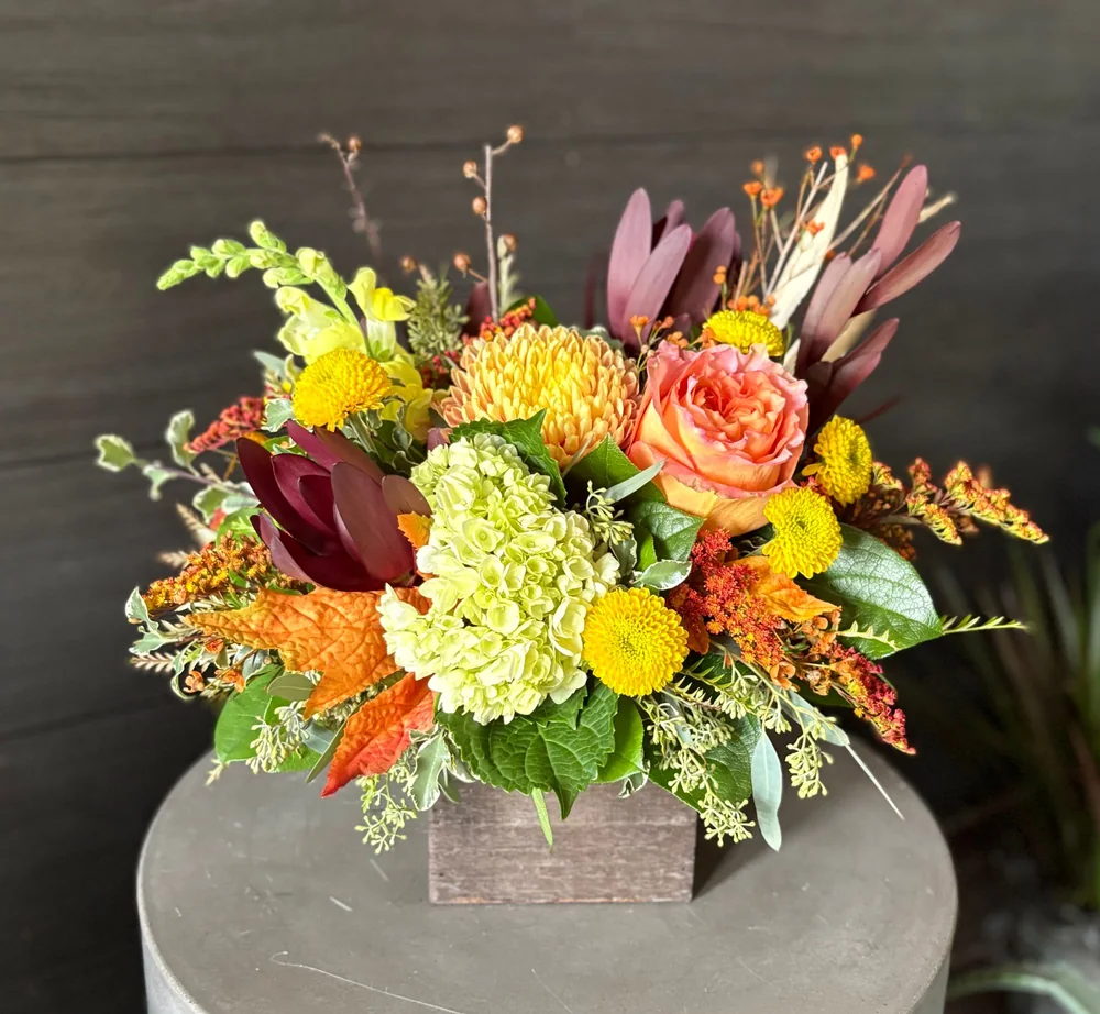 Lorna by DeVine's Flowers & Botanicals