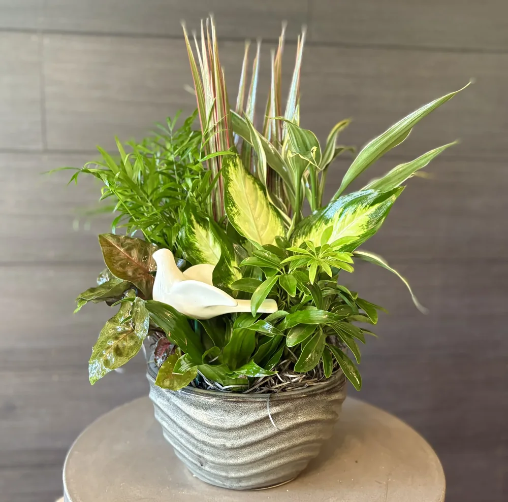 Peaceful Garden by DeVine's Flowers & Botanicals