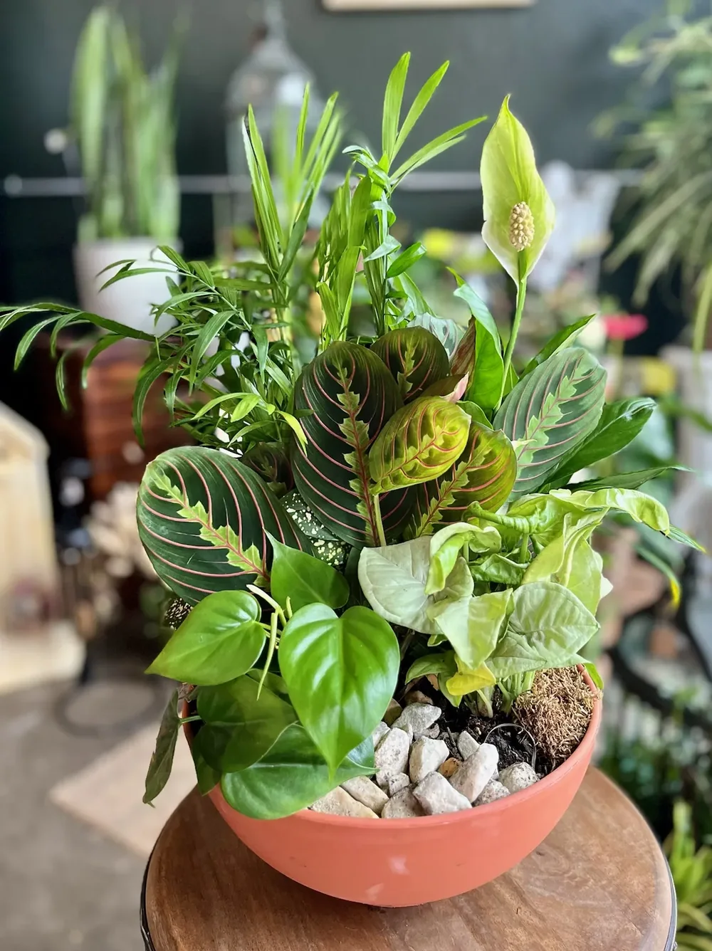 Terra Bowl by DeVine's Flowers & Botanicals